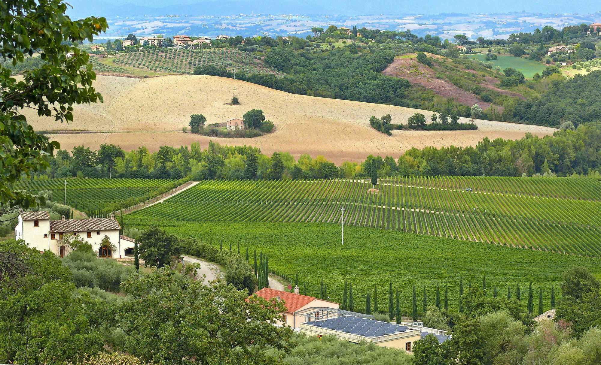 Le Buche Wine Resort&Spa Macciano Esterno foto